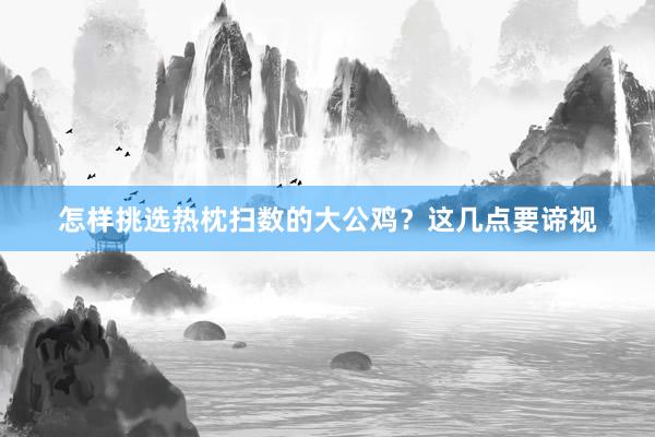 怎样挑选热枕扫数的大公鸡？这几点要谛视